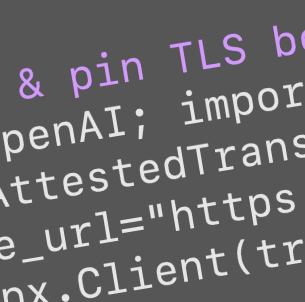 Runtime verification artwork for the Inference API product page.